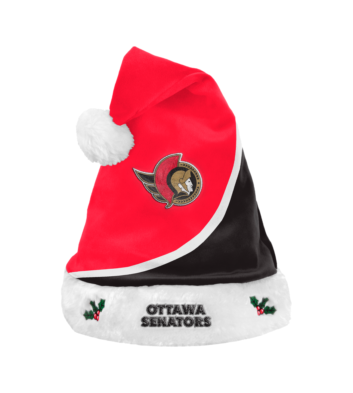Santa Hat
