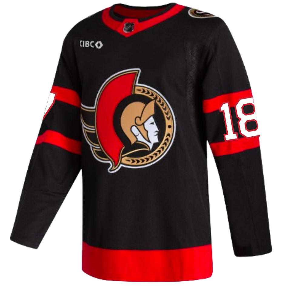 Nhl 18 adidas on sale jerseys