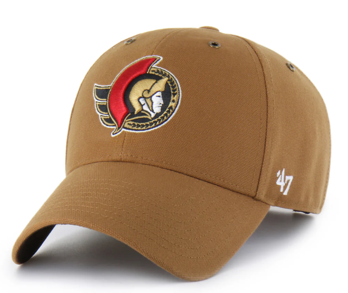 CARHARTT X SENS CLEAN UP CAP (47)