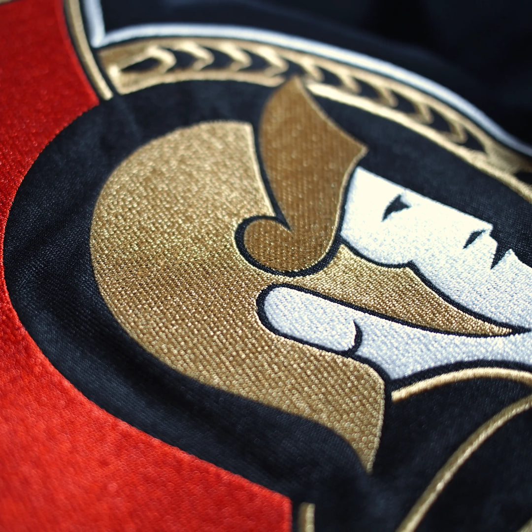 OTTAWA SENATORS HOCKEY TONAL STRIPED HOODY