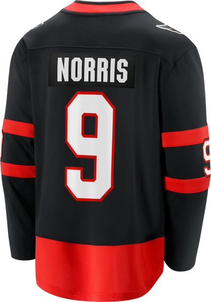 Ottawa senators hockey jersey - Gem